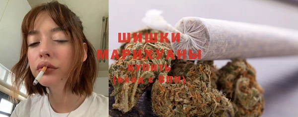 сатива Абаза