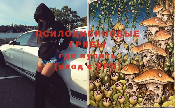 бошки Абинск