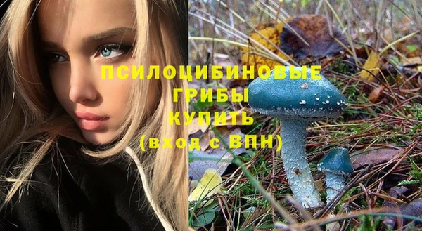 бошки Абинск