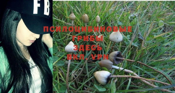 бошки Абинск