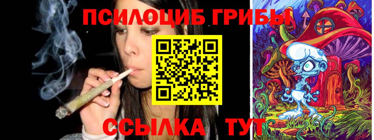 Галлюциногенные грибы Psilocybine cubensis  Вход с VPN  Шебекино  наркота  Галлюциногенные грибы прущие грибы 